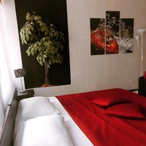 Фотография Яблоки 4