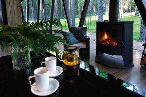 Фотография Побережье 5