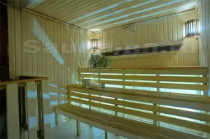 Фотография Багира 1