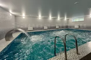 Фотография Багира 3