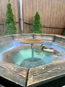 Фотография Баня 3