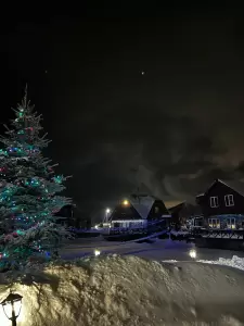 Фотография Зеленый островок 0