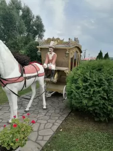 Фотография Зеленый островок 1