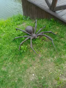 Фотография Зеленый островок 2