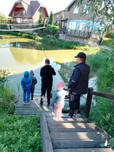 Фотография Зеленый островок 4