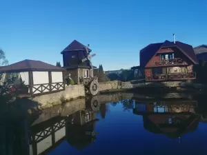 Фотография Зеленый островок 5