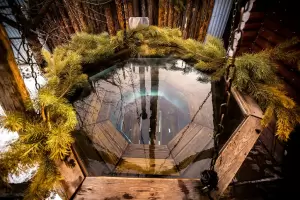 Фотография Русская тройка 5