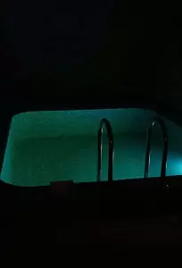 Фотография Жемчужина 2