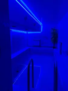 Фотография Жемчужина 5