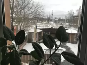 Фотография Позитив 1
