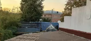 Фотография Joy 3